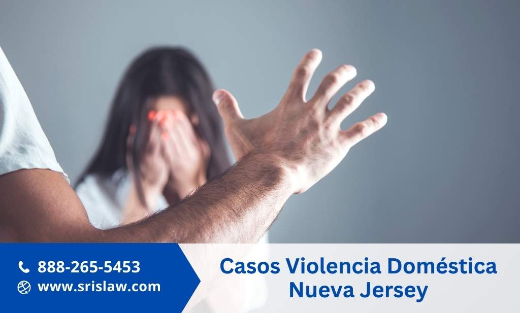 Casos Violencia Doméstica Nueva Jersey